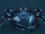 Under the Sea