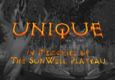 2009 UNIQUE SunWell MV