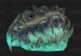 Tribute Vs. Yogg-Saron (Shadow Priest POV)