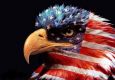 World First IC by Team America