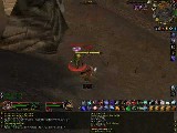 Shurrik rogue pvp 60