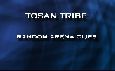 Tosan Tribe - Random 2v2 and 3v3 Arena Clips!