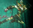 Evoque talks Mistweaver Monk - Part 1 'TALENTS'