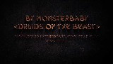 Feral Druid in Troves of the Thunderking #3
