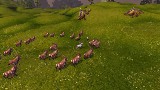 Feral Druid PvP Macro Guide World of Warcraft WoW Mists of Pandaria