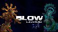 Blow vs Twin Consorts (25 HC)