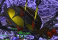 Dread -vs- Maexxna