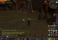 Warrior Kill Rate