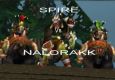 Spire Vs. Nalorakk
