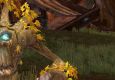 ORLY Vs. Illidan