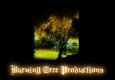 Order of the Silver Dawn - Into Darkness