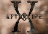 Infect X Afterlife