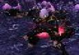 Zanders Rogue PvP