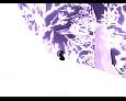 ilni 2 pvp