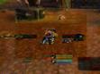 Paladin / warrior pvp Skirmish