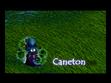 World Of Caneton