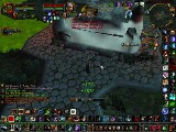 R Druid/MM Hunter 2v2