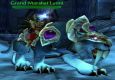 Rank 14 Mage PvP