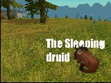 Taming Druid