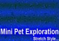 Stretch - Mini Pet Exploration