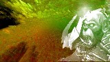 World of Warcraft -  The Arms of Sorrow