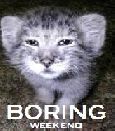 Boring Weekend