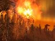 Fokio: Agressive Fire