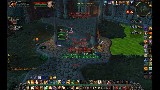 Pureshield 1: *Heart* Paladin