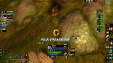 Shinji 4 Ret BG PVP