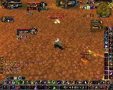 Caffeine Feral/Disc 2v2