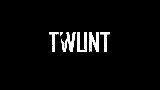 Twunt Warrior PvP