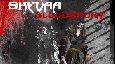 Shyvaa-Bloodsport (84-85 world pvp)