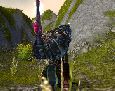 Battlegrounded - Arms PvP