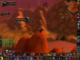Genican Prot Warrior