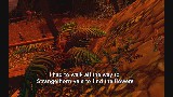 Mylast Undead Warrior Prot PvP