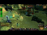70er PvP Char