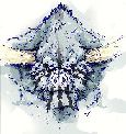 Emmata 1 - Elem+Mage and Demolock+Spriest 2vs2