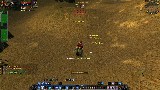 Hunter lvl10 pvp WSG