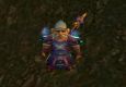 Sjakil - 60 Mage - PVP