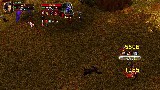 Insanity Arena's