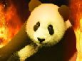 Mists of Pandaria: Fire panda pvp