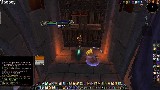 Elderly 2v2 Disc/Feral