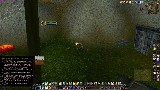 Elderly 2v2 Disc/Feral - The Never Ending Battle!