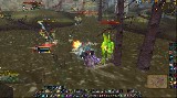 Moonkin PvP - Orlugin