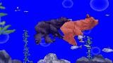 The Adventures of Koko Bear Chapter 3