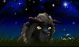 Kenzo Multi Glad Feral *Unleash Da Beast*