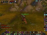 Demonhunter Light of Chaos 3.3.5 Demonology PvP