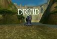 I am a Druid