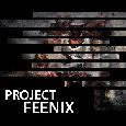 Destram - Project Feenix
