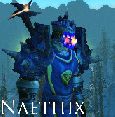ONESHOTTING a PALADIN - Naethix ft. Eleani - World of Warcraft [HD]